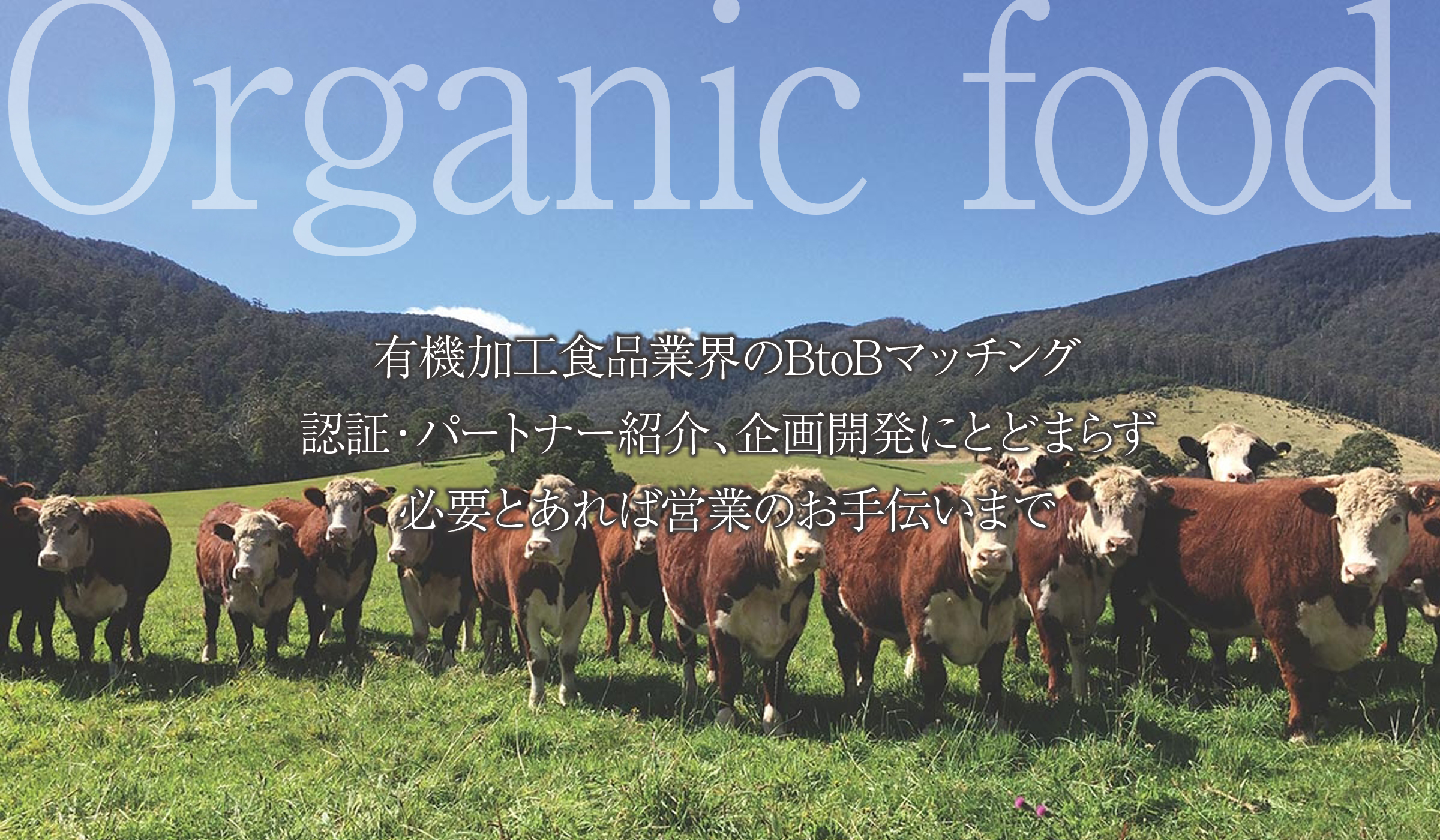 オーガニック コンサルティング