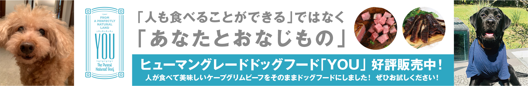 ドッグフード YOU