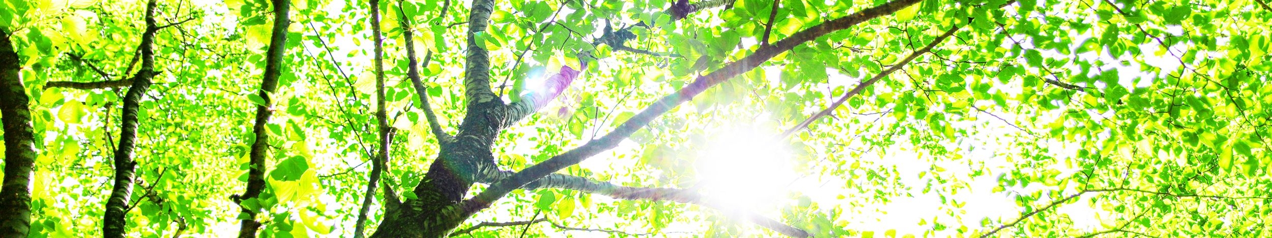 コンサルティング